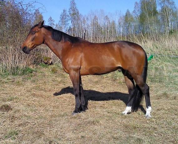 Profilbild