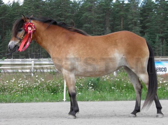 Profilbild