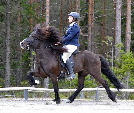 Profilbild