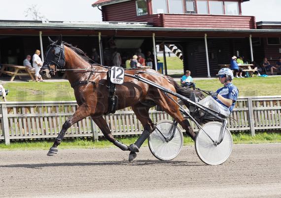 Profilbild