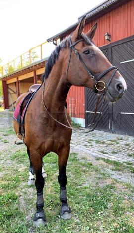 Profilbild