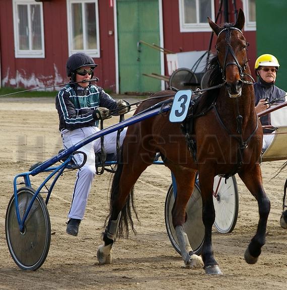 Profilbild