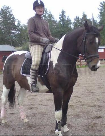 Profilbild