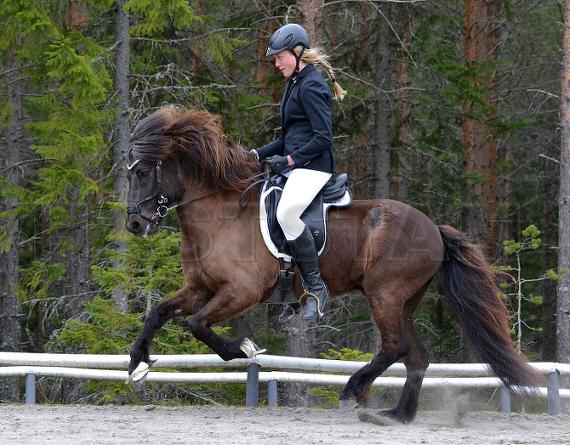 Profilbild