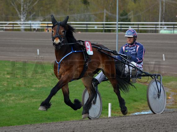 Profilbild