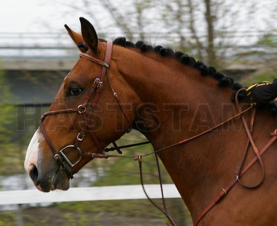 Profilbild