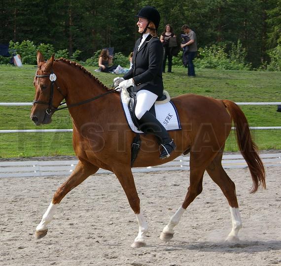 Profilbild