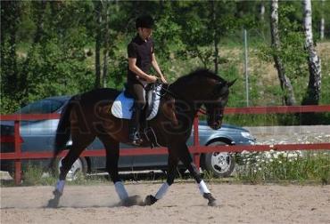 Profilbild