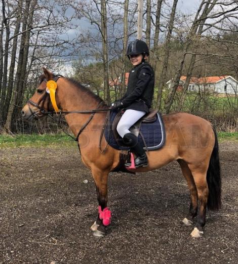 Profilbild