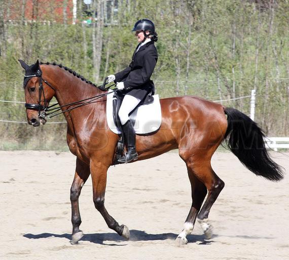 Profilbild