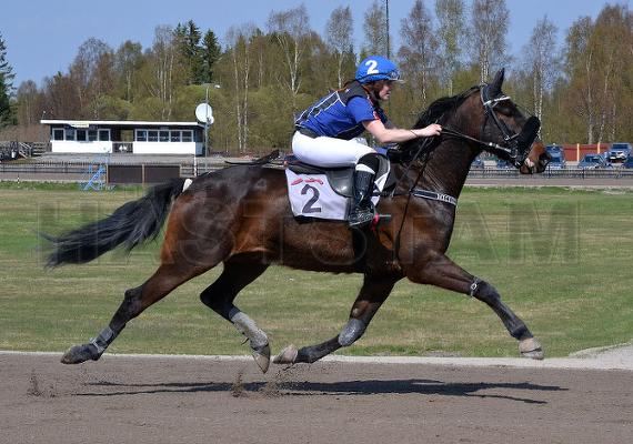 Profilbild