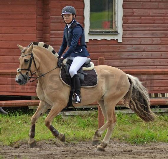 Profilbild