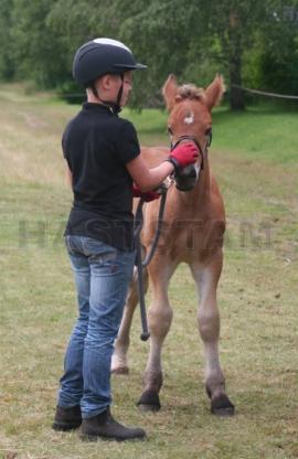 Profilbild