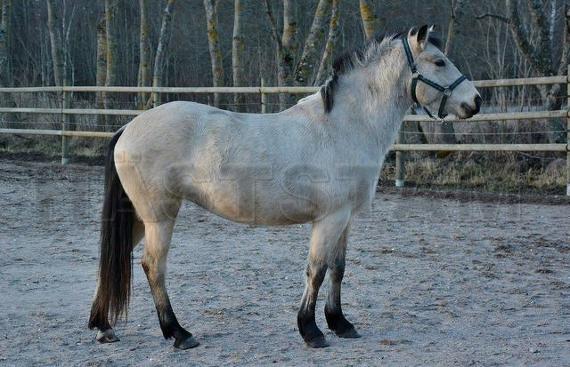 Profilbild