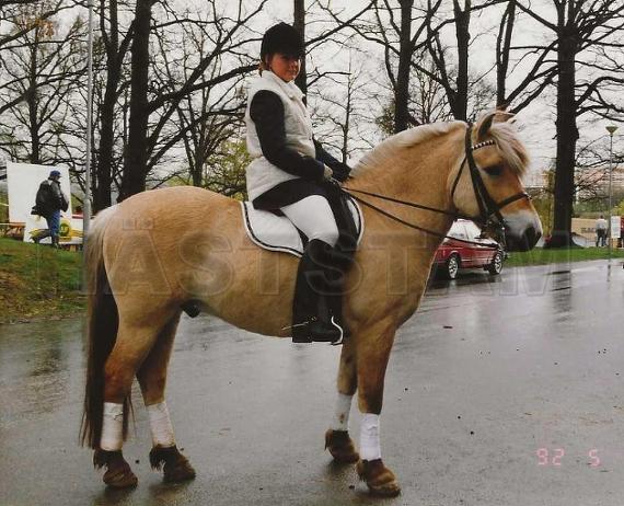 Profilbild