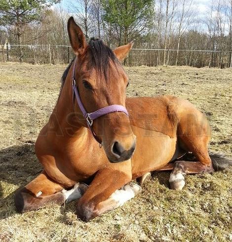 Profilbild