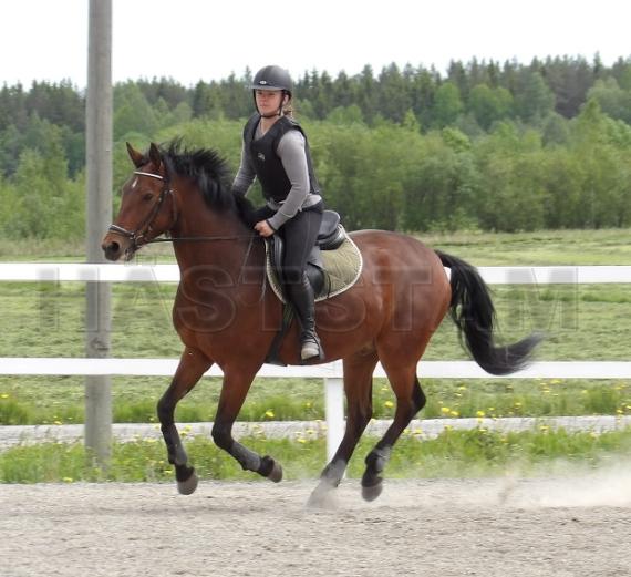 Profilbild