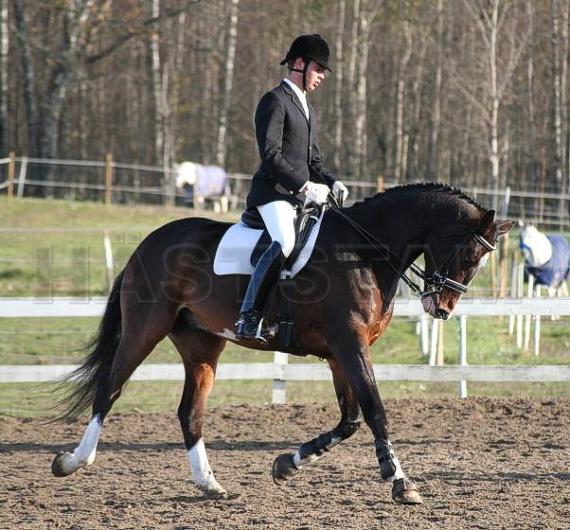 Profilbild