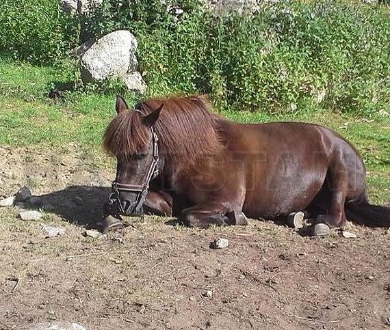 Profilbild