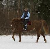 Profilbild