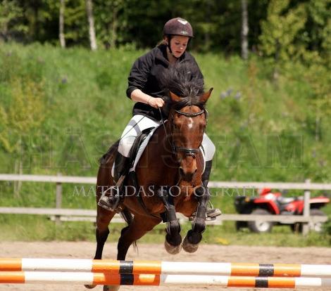 Profilbild