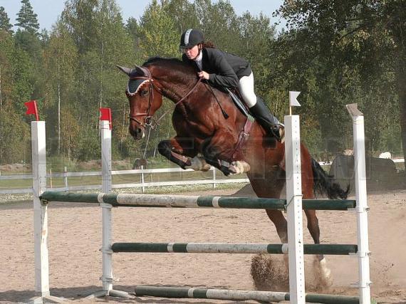 Profilbild
