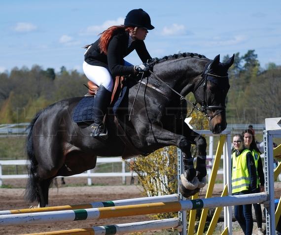 Profilbild