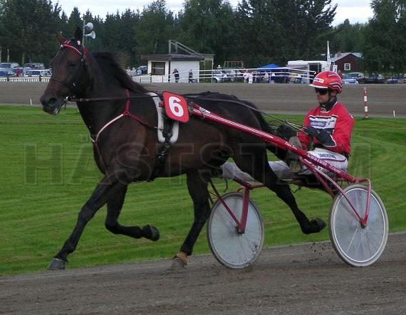 Profilbild