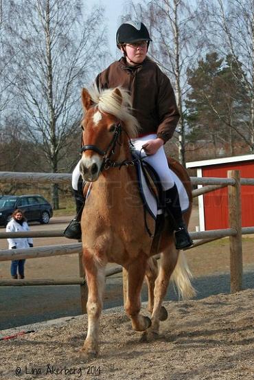 Profilbild