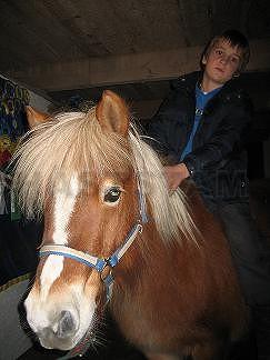 Profilbild