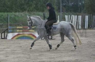 Profilbild