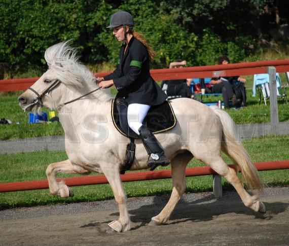 Profilbild