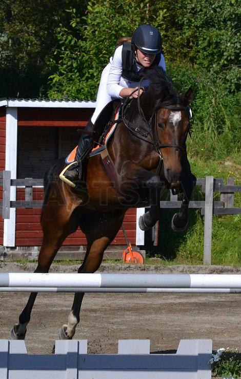 Profilbild