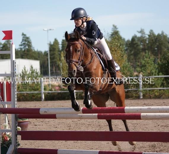 Profilbild
