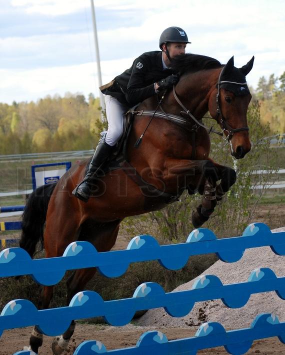 Profilbild