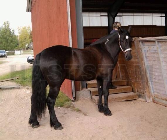Profilbild
