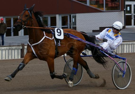 Profilbild