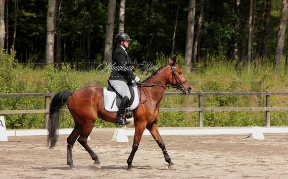 Profilbild