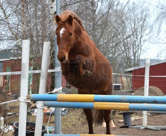 Profilbild