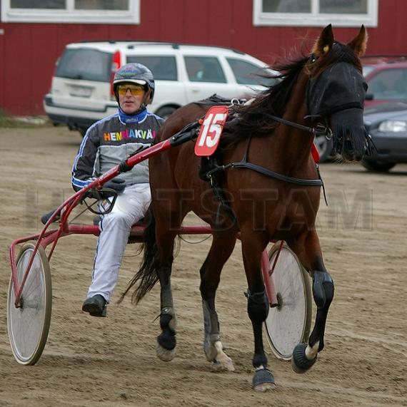 Profilbild