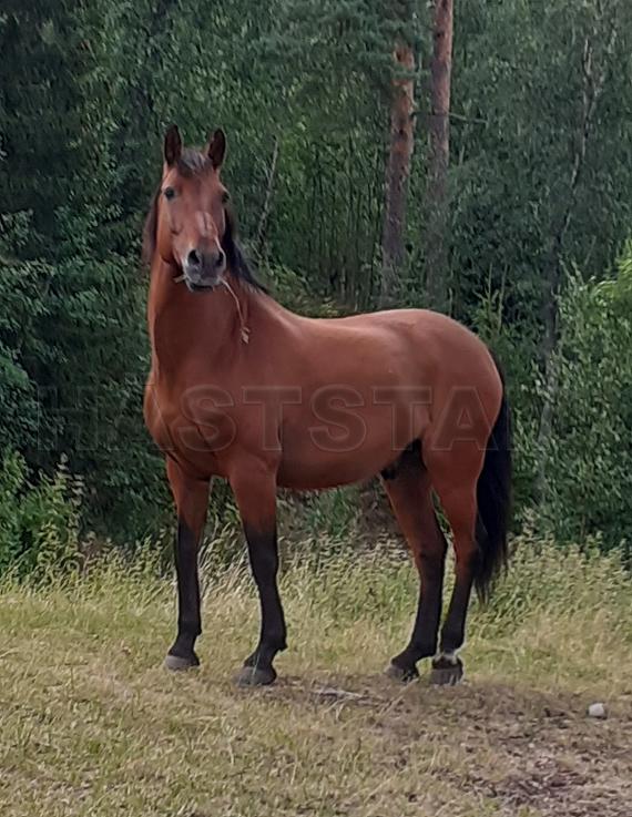 Profilbild