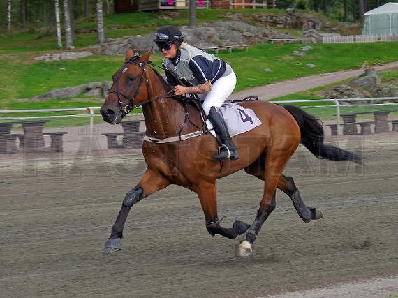 Profilbild