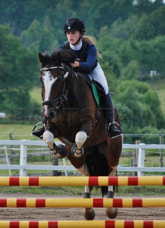 Profilbild