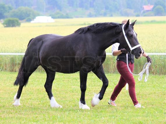 Profilbild