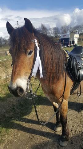 Profilbild