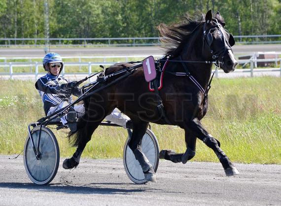 Profilbild