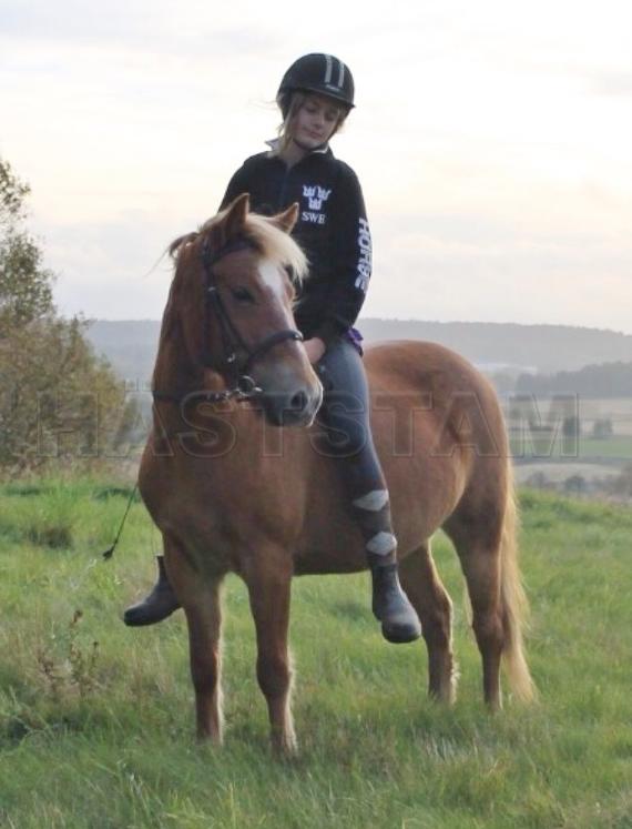 Profilbild