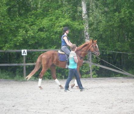 Profilbild