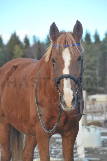 Profilbild