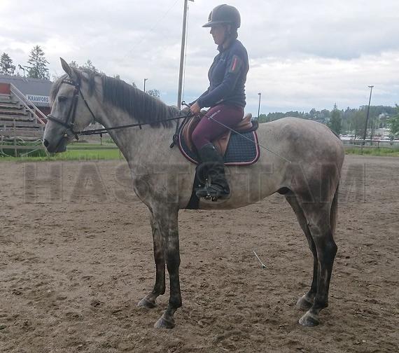 Profilbild